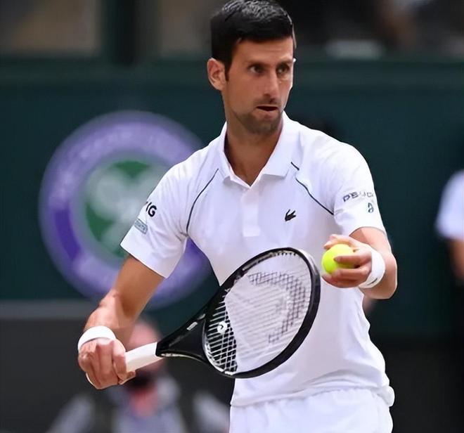 本文将深入 本文将深入