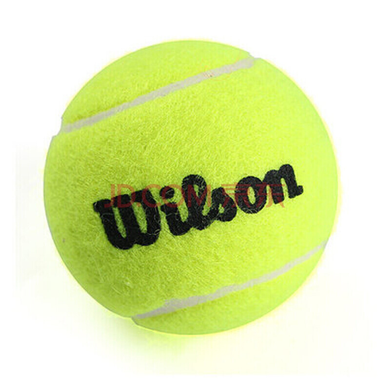 歌声和呐喊 歌声和呐喊